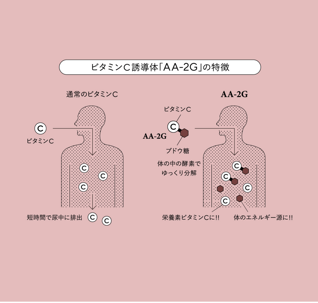 PROVITA-C(プロビタC)